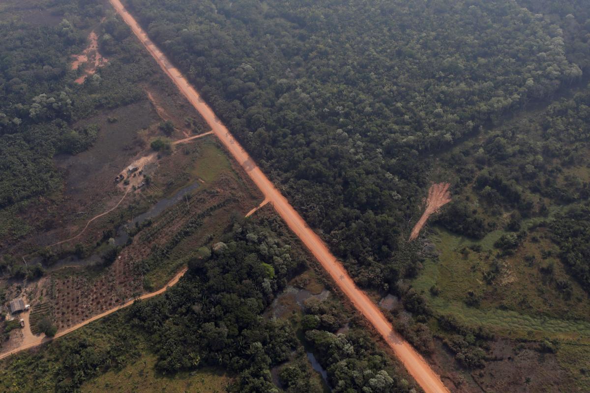 Using Science to Block a Road to Ruin – The Amazon BR-319