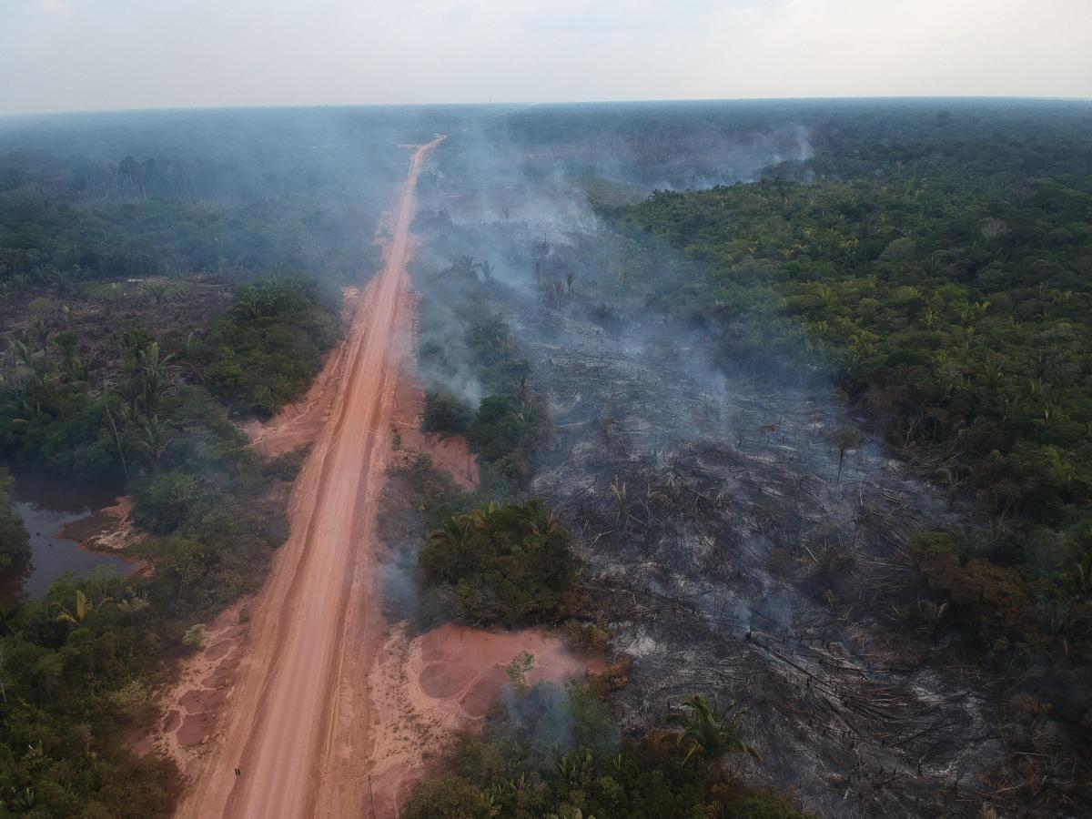 BR-319: Amazon’s Route to Deforestation
