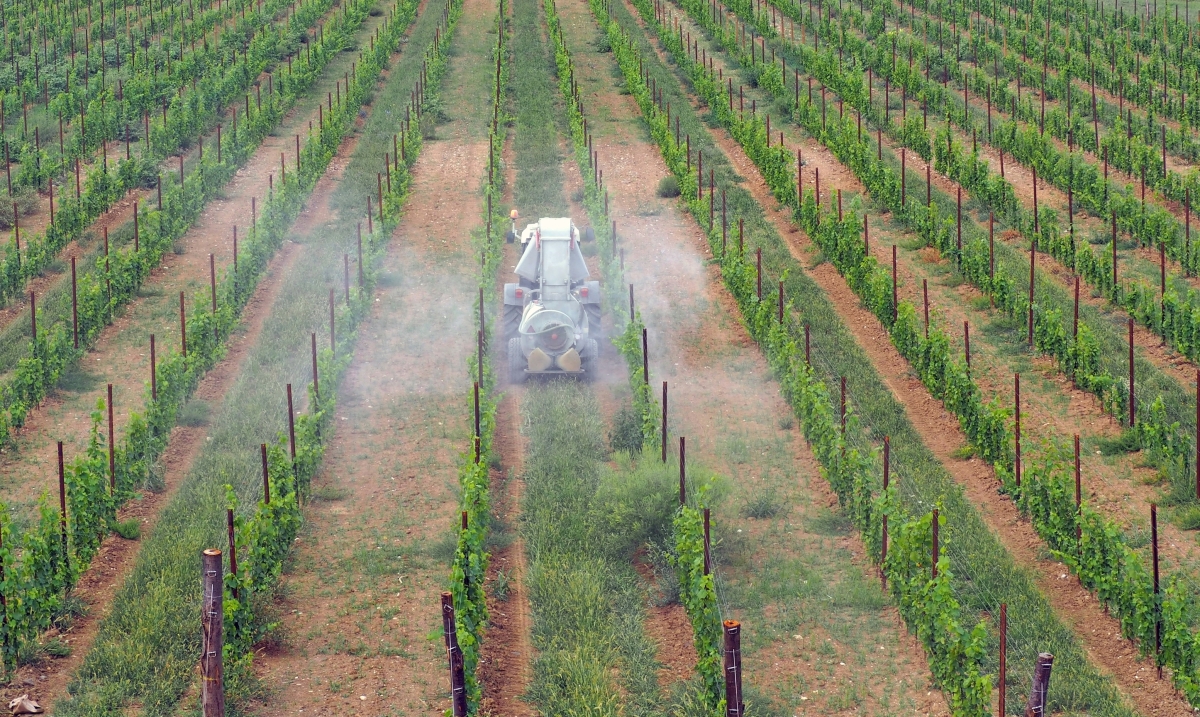 A Sobering Reality: Cocktail of Hazardous Pesticides in Wine Has Tripled